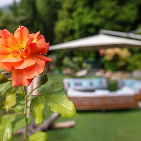 Hotel Parkhotel Brenscino Brissago TI