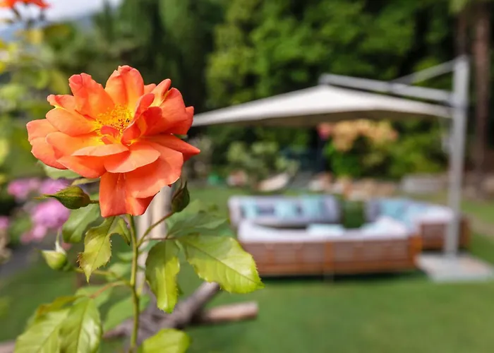 فندق Parkhotel Brenscino بريساغو